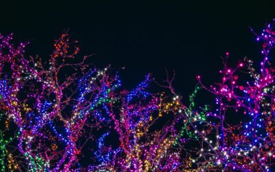 Helpful Hints and Tips for Christmas Lights – Inside and Outside the Home